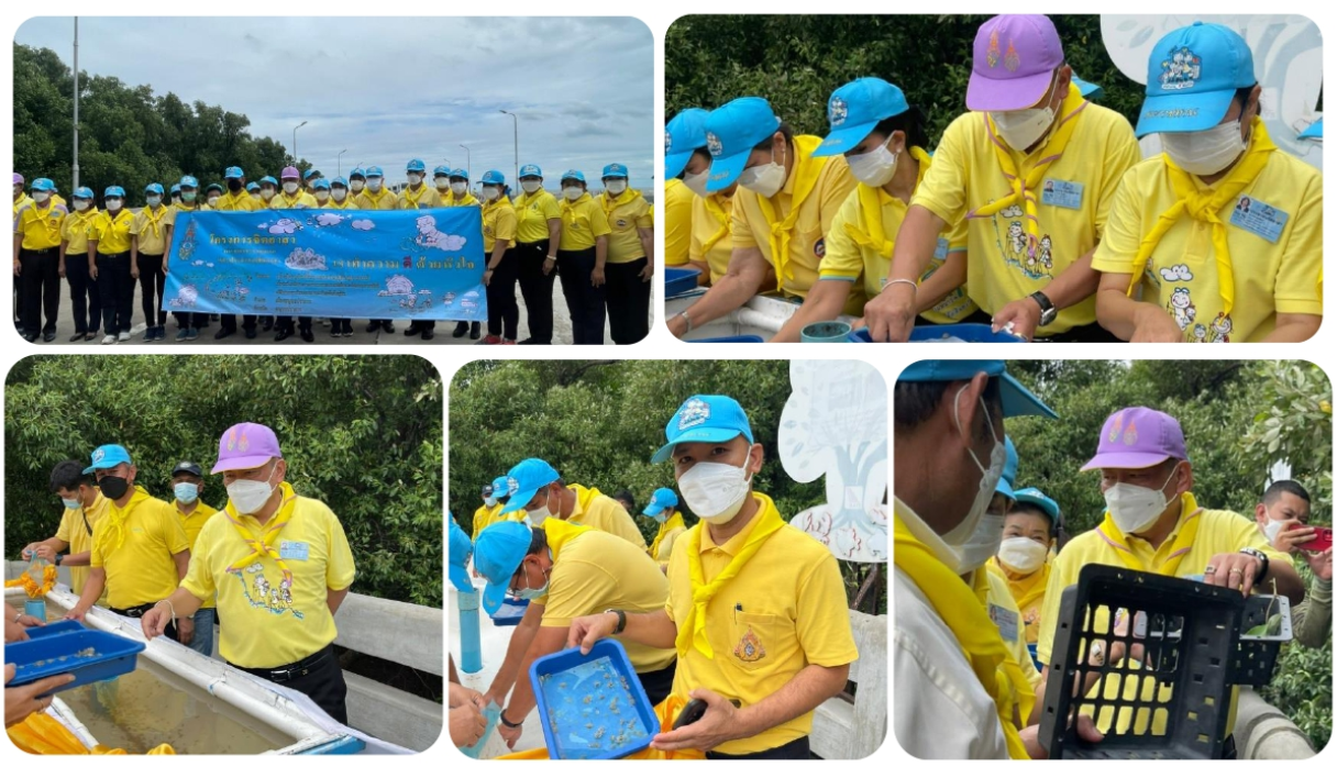 Mol-Thailand